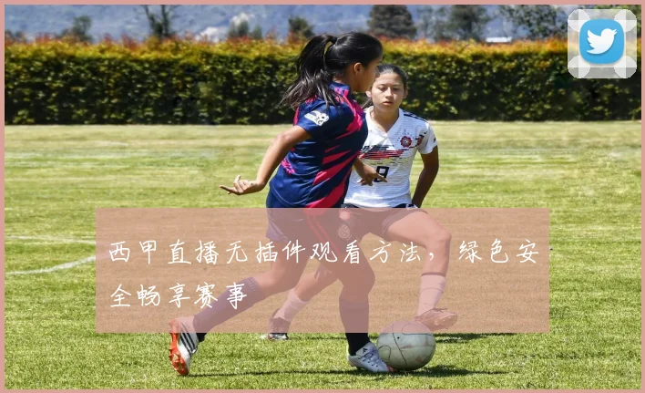 西甲直播无插件观看方法，绿色安全畅享赛事