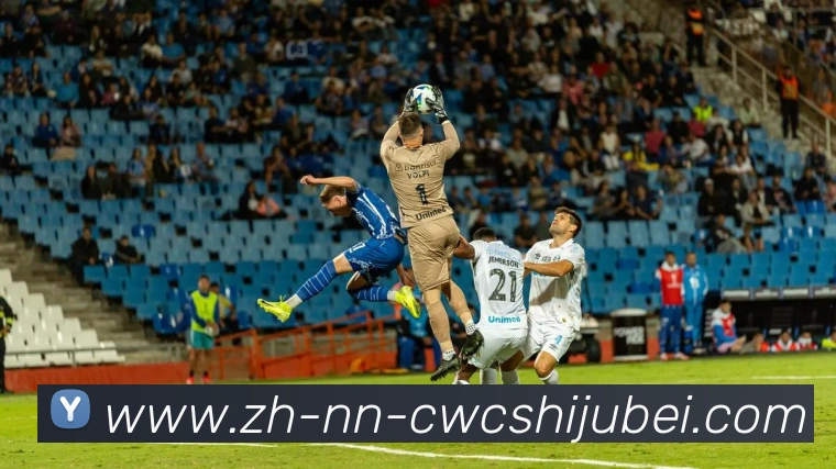 多媒体互动体验