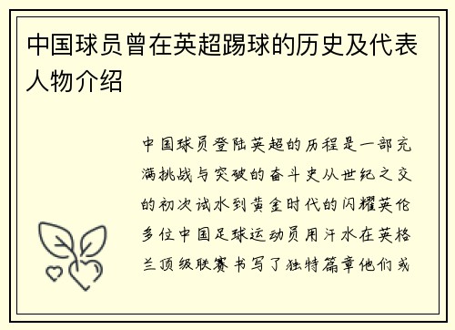 中国球员曾在英超踢球的历史及代表人物介绍